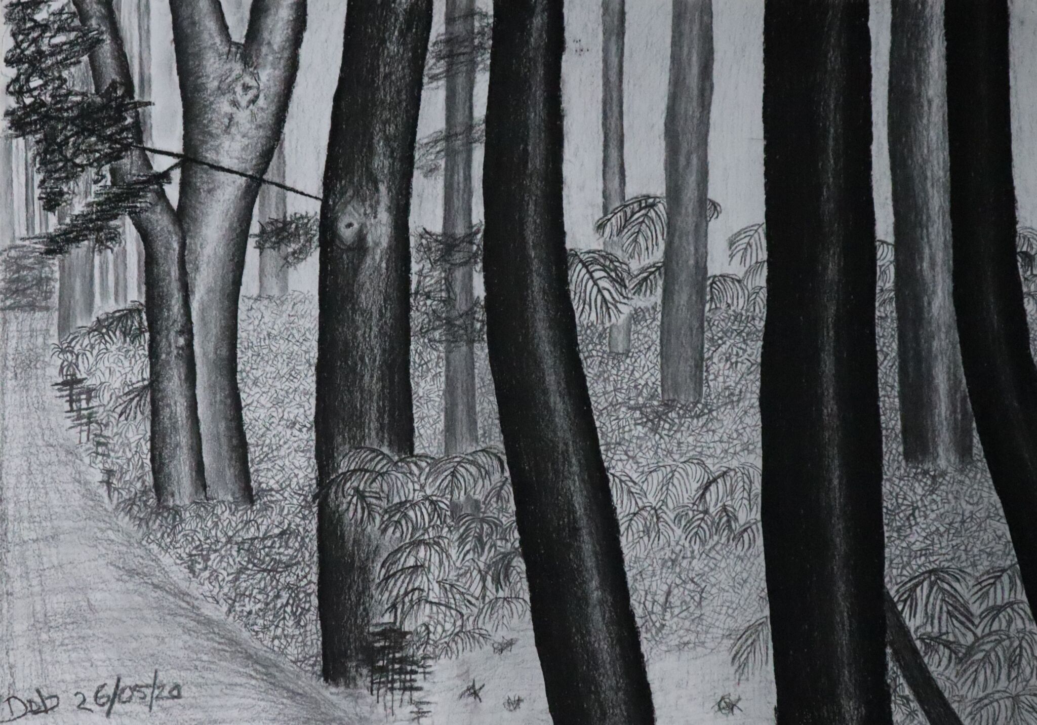 venatorcorvusproducts