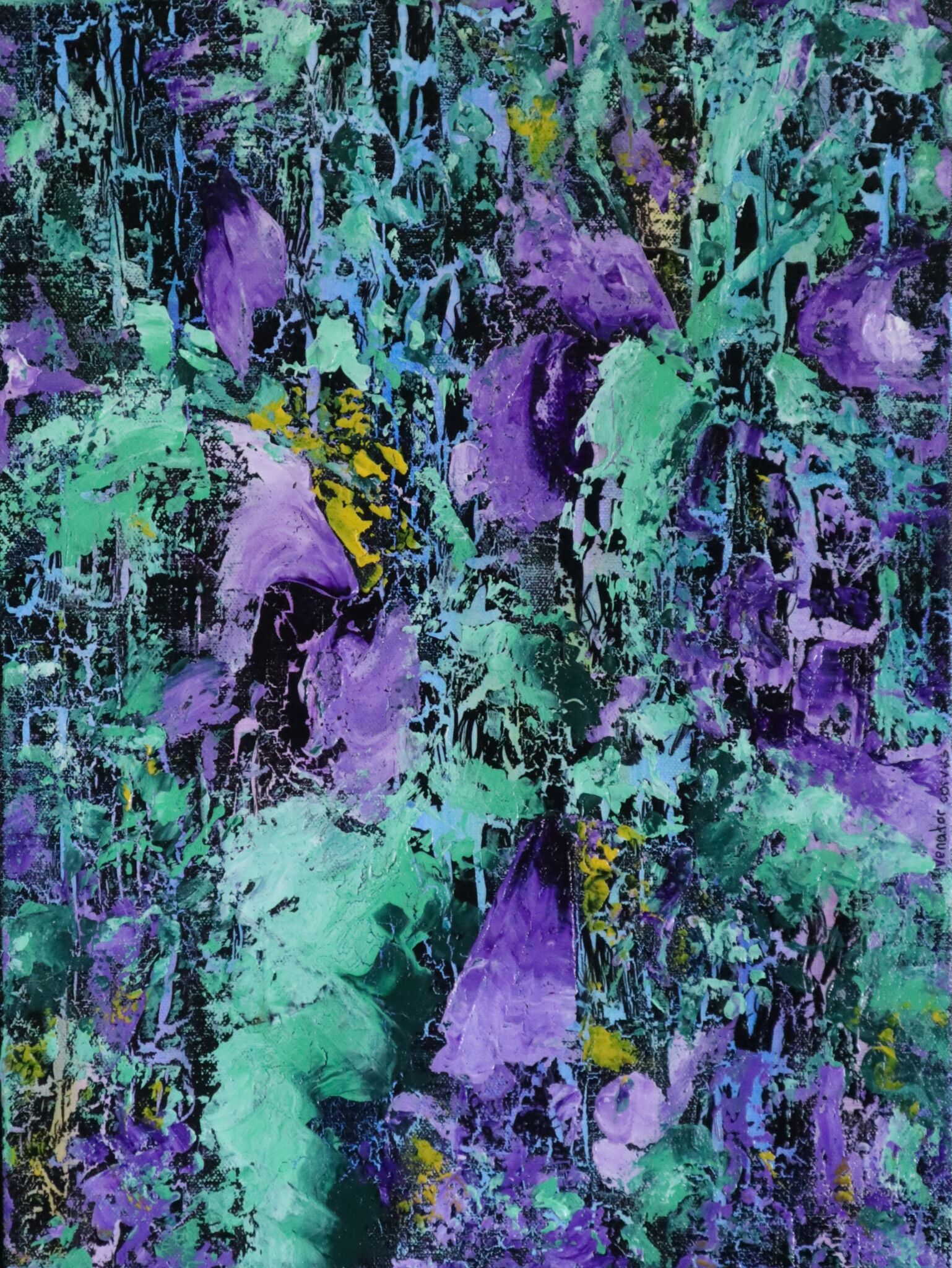 venatorcorvusproducts